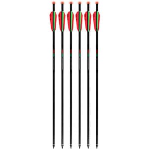 TenPoint Pro-V 22” Omni-Brite 2.0