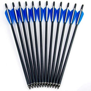 GPP Hunting Archery Carbon Arrows