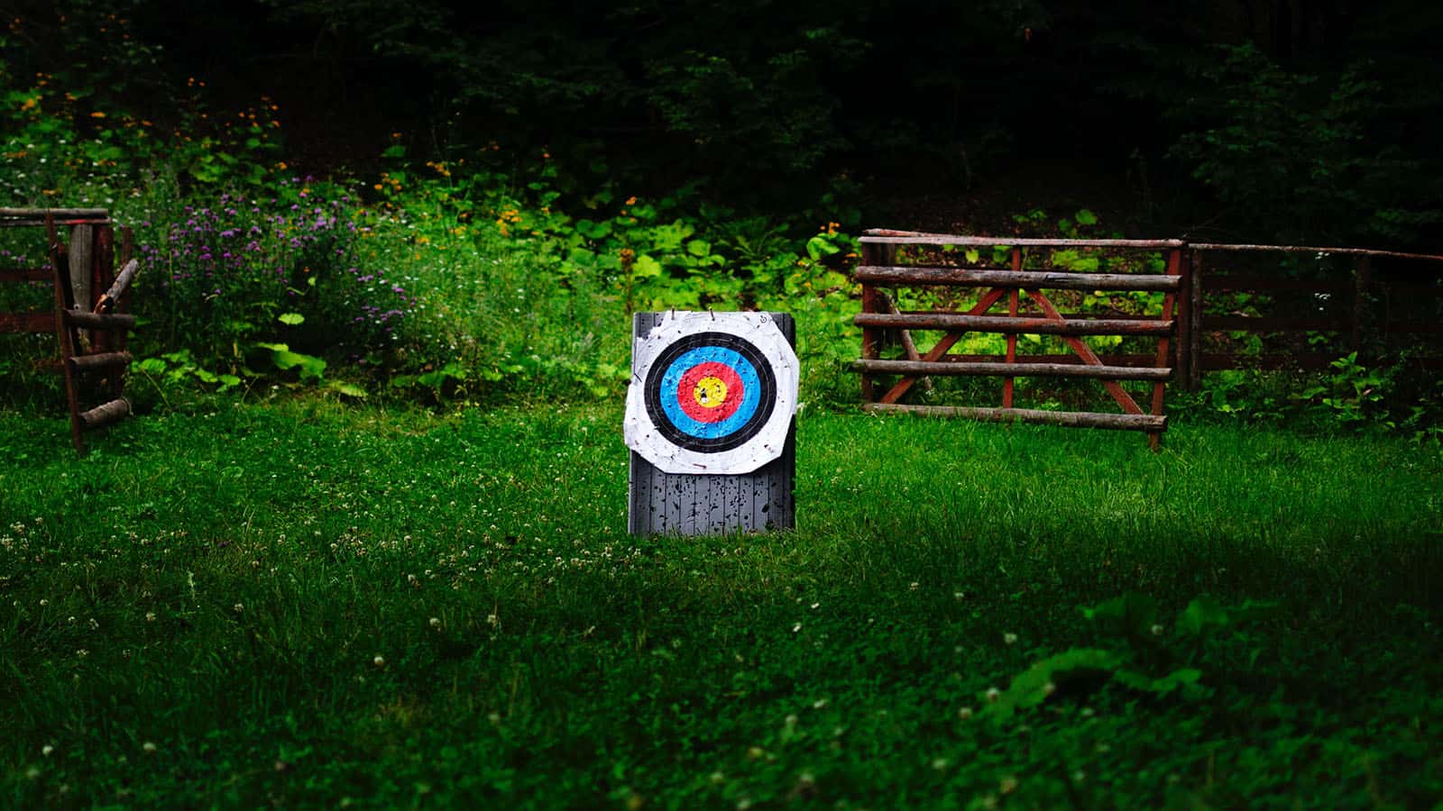 featured - best archery target