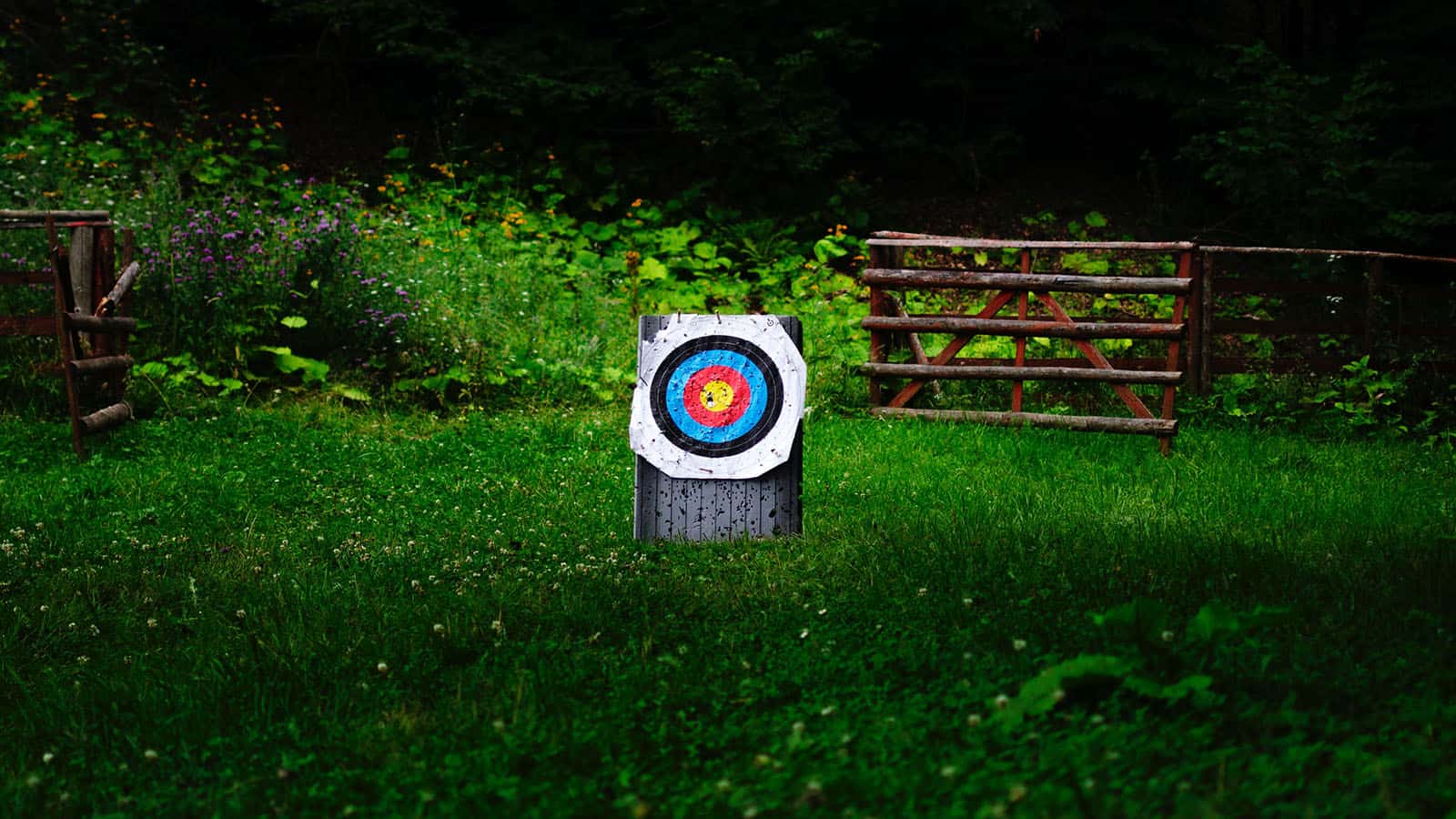 best crossbow targets