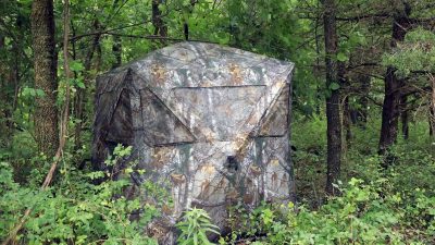 featured - best ground blind for bowhunting