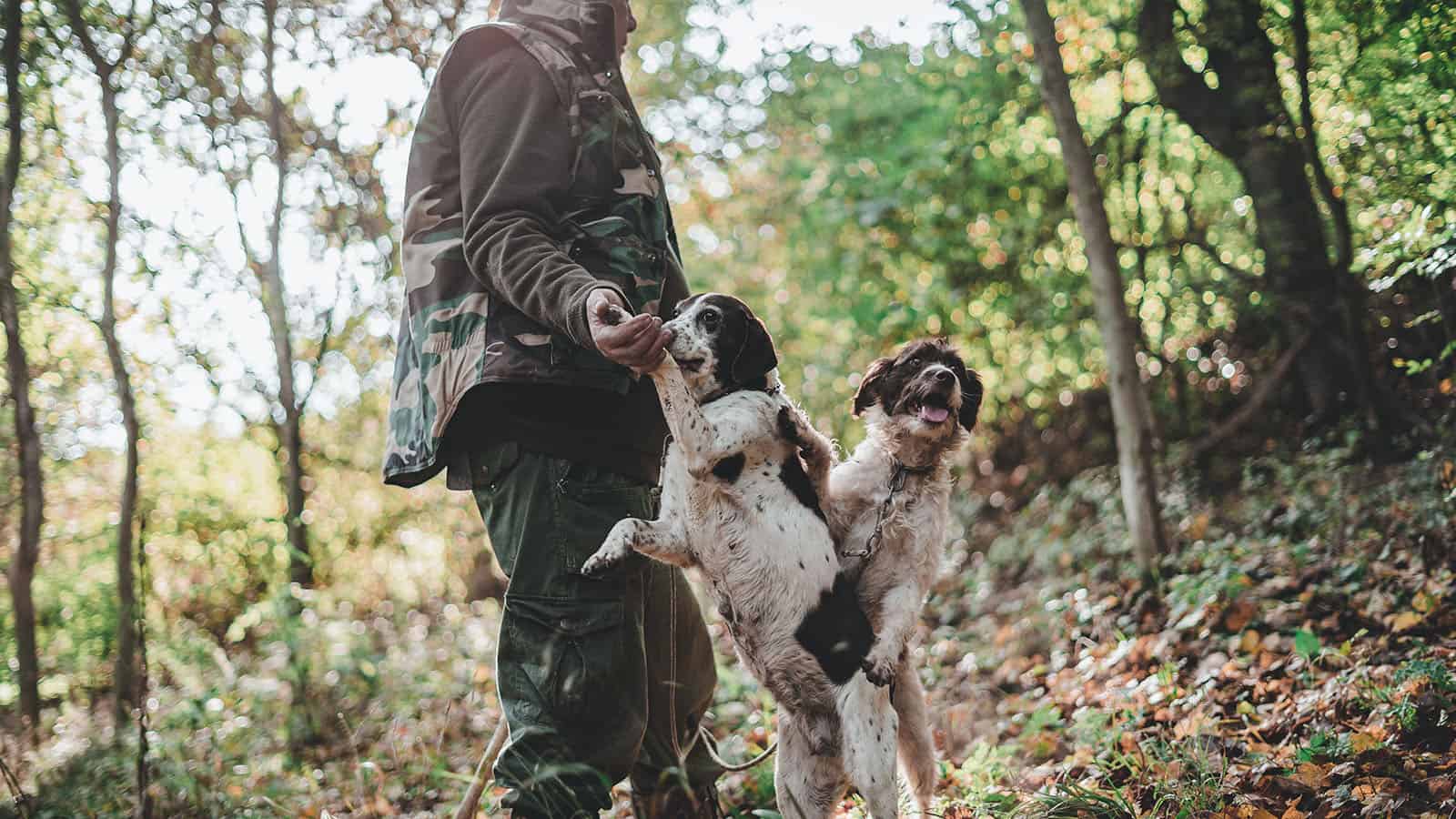 featured - best hunting jacket