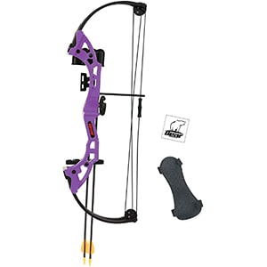 Bear Archery Brave Bow Youth Set