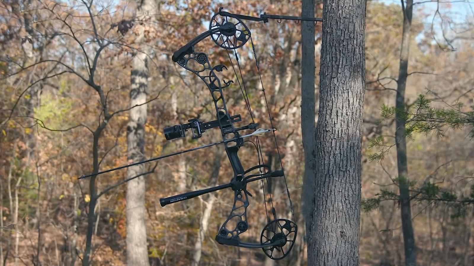 Best compound bow shop for the money