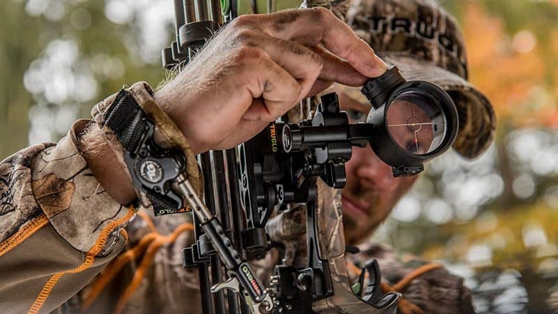 featured image - how to sight in a bow
