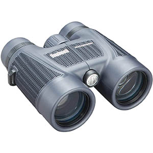 Bushnell H2O