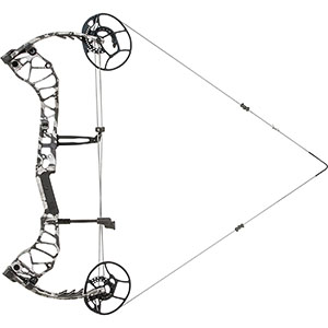 Bear Divergent Compound Bow