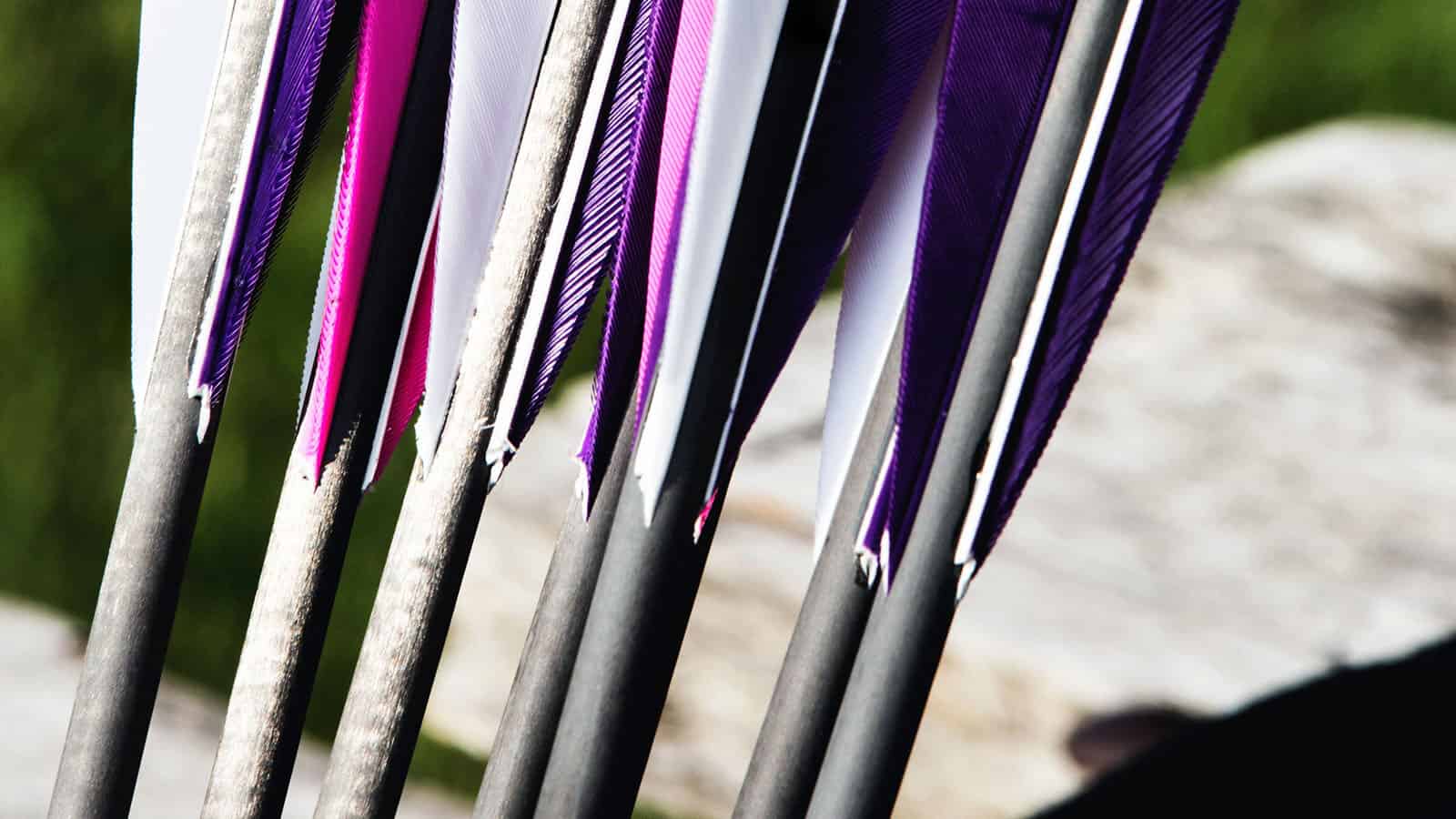 Is Archery Expensive & How Much Does It Costs-Choosing the Right Carbon Arrows for Your Needs