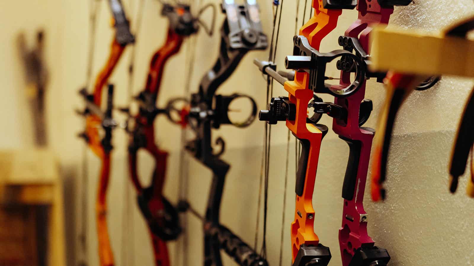 Bowhunting 101 - Compound Bows