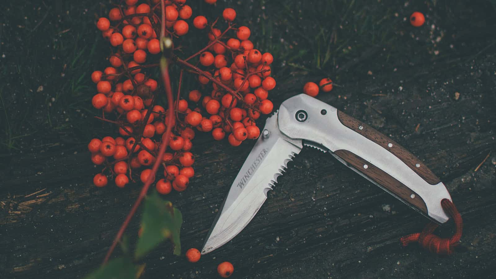 Complete Beginner's Guide to Small Game Bowhunting - Other Items