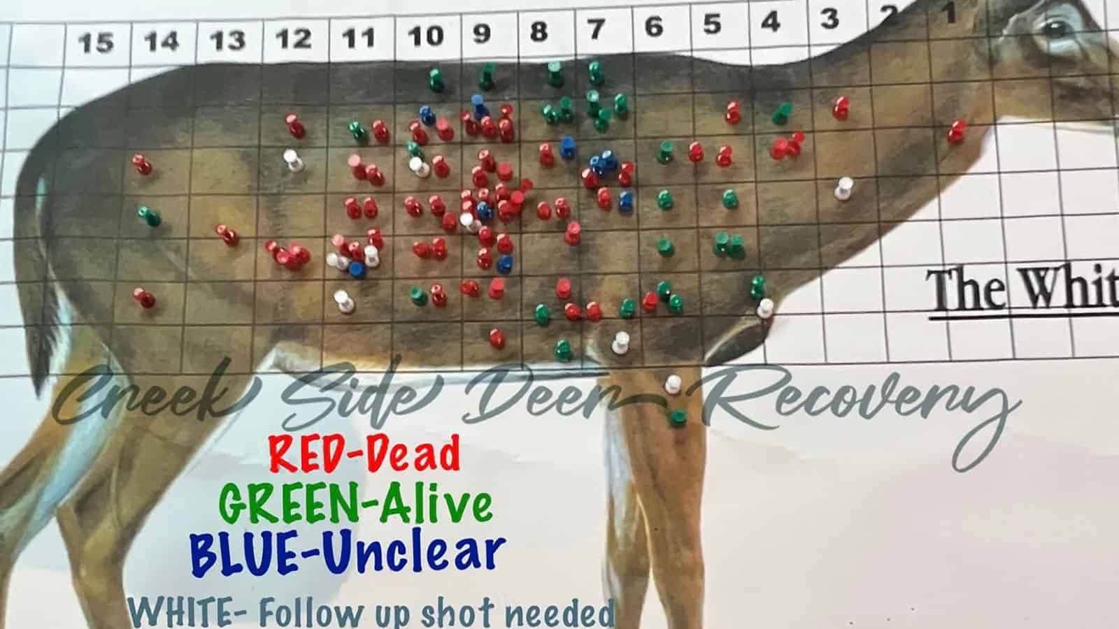 Where to Shoot a Deer. Shot Placement Chart & Diagram - Deer Shot Placement Chart